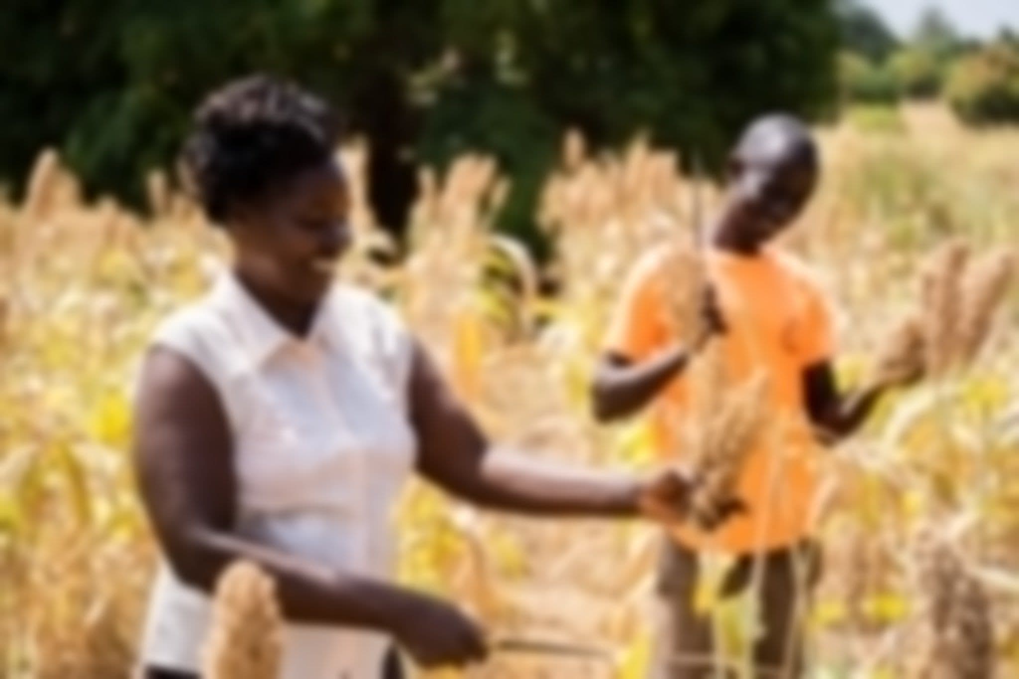 INSECTIPRO AGRI